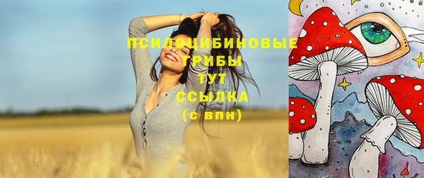 а пвп мука Абинск