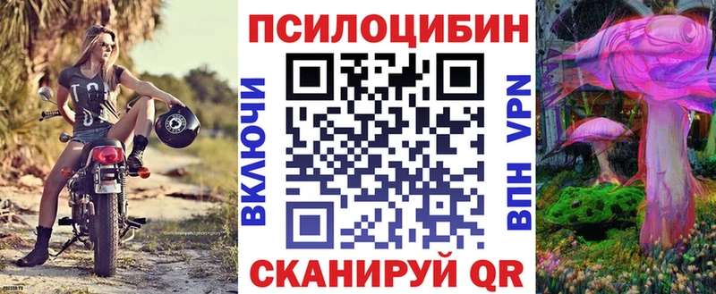 цена   Темрюк  Псилоцибиновые грибы Psilocybine cubensis 